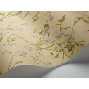 Cole & Son - Archive Anthology - Sweet Pea 100/6029