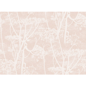 Cole & Son - Icons - Cow Parsley 112/8028