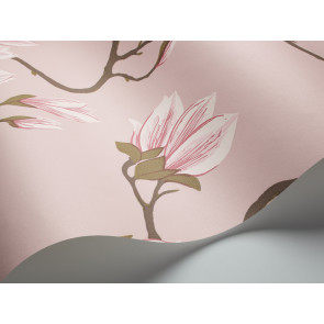 Cole & Son - Contemporary - Magnolia 72/3009