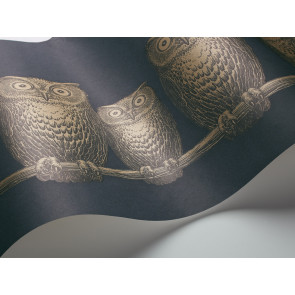 Cole & Son - Fornasetti II - Nottambule 97/5050