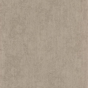 Casamance - Synopsis - Focus - 73720324 Beige Moyen