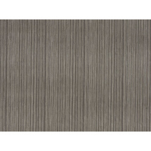 Romo - Raya - Silverbirch 7441/08