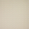 Colefax and Fowler - Swift - F4353/03 Pink/Green